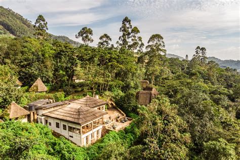 Volcanoes Safaris is delighted to announce Bwindi Lodge has been listed ...