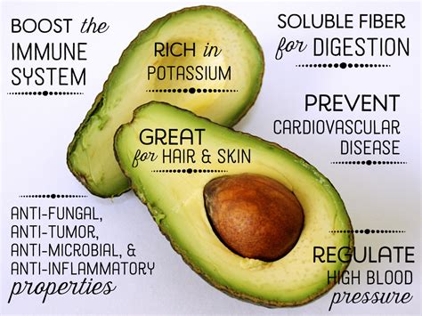 20 Ways to Use Avocado Seeds | ToughNickel