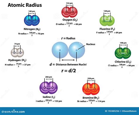 Atomic Radius Measurements of Diatomic Molecules Stock Vector ...