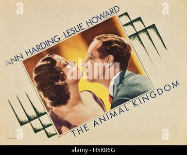 The Animal Kingdom - Movie Poster Stock Photo - Alamy