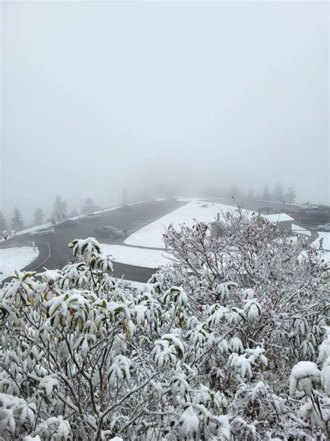 See the 1st snow of the season in the North Carolina mountains | FOX8 WGHP