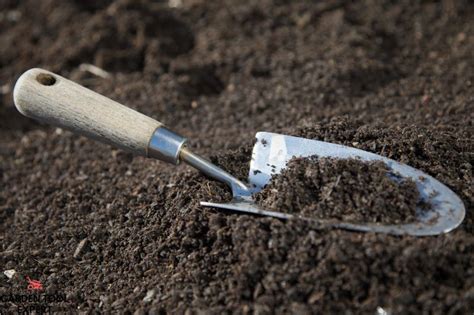 Digging Trowel. What The Pros Say. With Helpful Tips – Garden Tool Expert Store