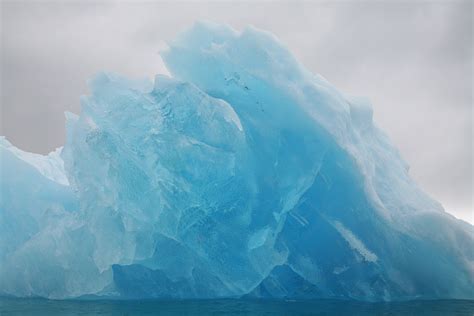 All About Ice: Glaciers and Icebergs of the Arctic and Antarctica ...