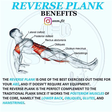 💪REVERSE PLANK BENEFITS⚡️ - Follow @snm.fit for more fitness/nutrition info - 📄The reverse plank ...