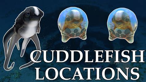 Where To Find ALL 5 CUDDLEFISH EGGS in Subnautica | Cuddlefish Eggs Locations! | Subnautica ...