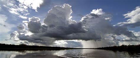 Amazon-transpiration-clouds.jpg (720×300) | Thunderstorm clouds, Clouds, Landscape