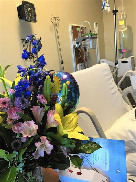 Image result for hospital flowers | Hospital flowers, Flowers, Plants