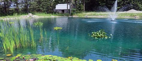 Hydrosphere - Pond Supplies Canada, Koi & Aquatic Plants | Pond maintenance, Water gardens pond ...