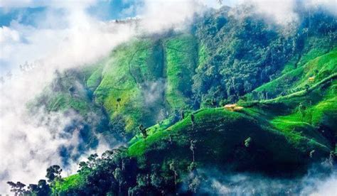 Chimbuk Hill Bandarban, Bangladesh | About Bangladesh Tourism and ...