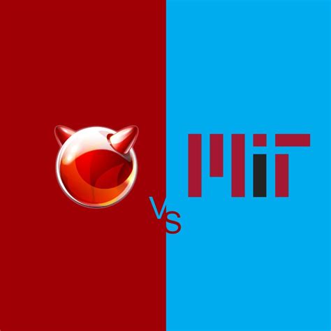 BSD vs MIT License - SOOS