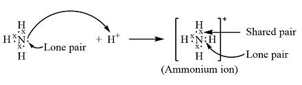 Ammonium Ion Structure