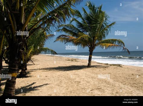 Marari Beach, Kerala, India Stock Photo - Alamy