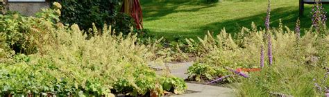 The Great Healthy Yard Project » Weeding beds and aerating turf