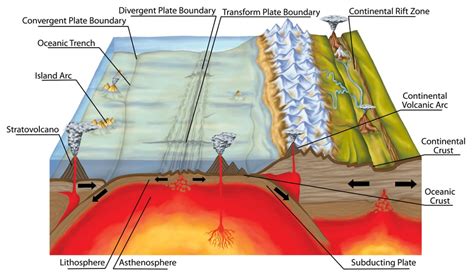 How Were The Himalayas Formed?