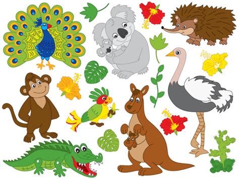 Australian Animals Clipart Vector Koala Clipart Kangaroo | Etsy