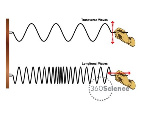 Mechanical Waves Diagram