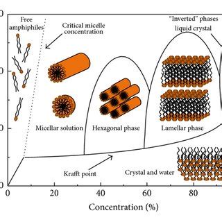 Amphiphile shape factors and summary of the aggregate structures that... | Download Scientific ...