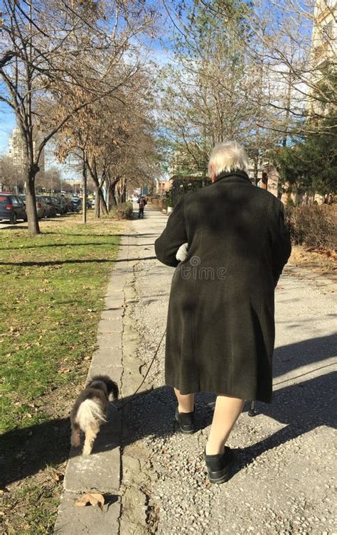 Old Woman Walking with Her Dog Editorial Stock Image - Image of walking, adult: 48304704