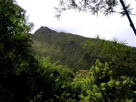 Panama: Volcan Baru