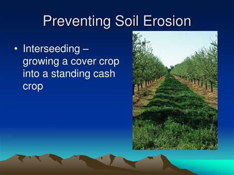 PPT - Preventing Soil Erosion PowerPoint Presentation, free download - ID:2269224