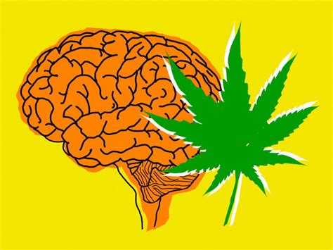 Marijuana's effects on the brain need more research | American Heart ...