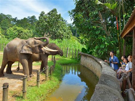 Lok Kawi Wildlife Park Half Day Tour from Kota Kinabalu tours, activities, fun things to do in ...