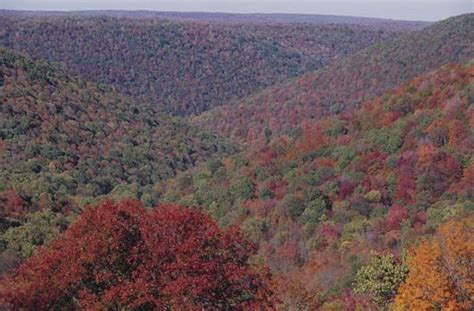 The wooded Allegheny Mountains show autumn colors. | Allegheny mountains, Appalachian mountains ...