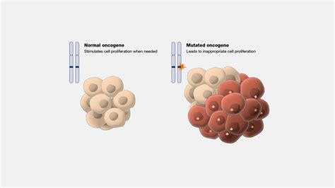 Oncogene