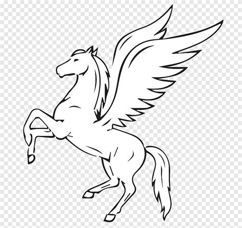 Free download | Pegasus Flying horses Drawing, pegasus, white, chicken png | PNGEgg