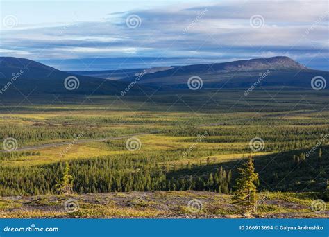 Polar tundra stock photo. Image of permafrost, road - 266913694