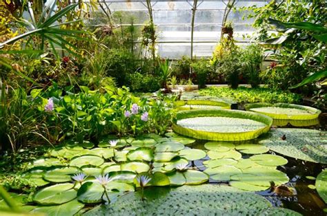 The University of Oxford Botanic Garden | Experience Oxfordshire