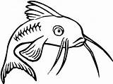Channel Catfish Coloring Page  ClipArt Best sketch template