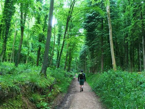 Our guide to walking the Cotswold Way National Trail