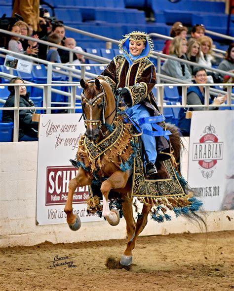 Arabian and Half-Arabian Horses Delight Crowds at the 63rd Annual Scottsdale Arabian Horse Show ...