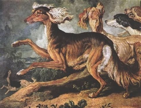 41 Extinct Dog Breeds √ 13 Prehistoric Dog Breeds, 20 Ancient Dog Breeds. The Origins Of Ancient ...