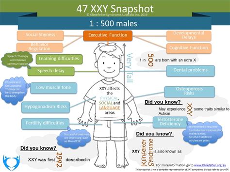 47 XXY Diagram | Klinefelter Syndrome