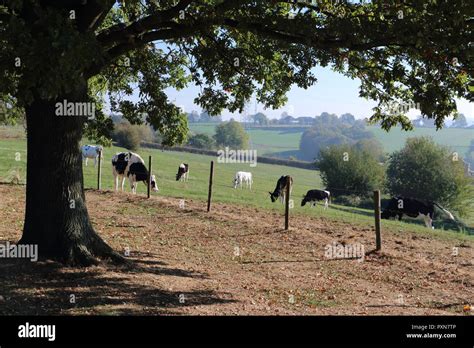 beautiful landscape in the Netherlands, state Limburg Stock Photo - Alamy