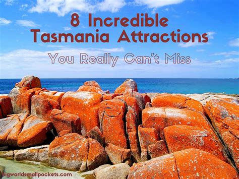 8 Incredible Tasmania Attractions You Can't Miss - Big World Small Pockets