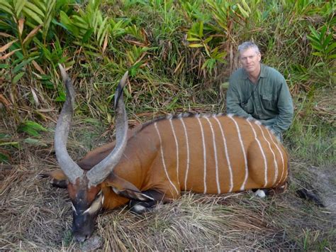 Cameroon - Safari Trackers