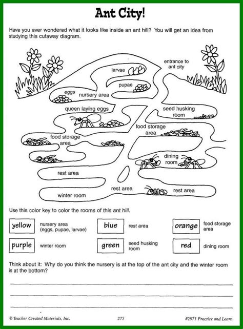 Image result for cool ant worksheets | Ants worksheet, Ants, Worksheets