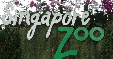 Kids Activities in Singapore: Singapore Zoo