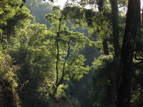 Exploring El Chico National Park (Parque Nacional El Chico) - Planeta.com