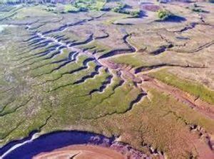 Pinnate Pola Aliran Sungai Trellis Ayo Belajar Geologi !!": Bentang Alam Fluvial - Pola Lantai ...