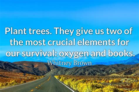 30 Tree Plantation Quotes to Inspire the Environmentalist in You