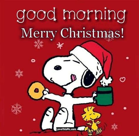 Snoopy Good Morning Merry Christmas | Snoopy christmas, Snoopy ...