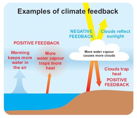 Understanding the Role of Water Vapor as a Greenhouse Gas in Climate Change