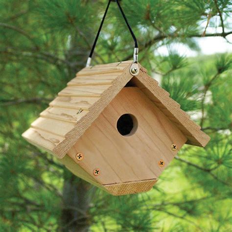 Buy Wren House Building Kit Online With Canadian Pricing - Urban Nature Store