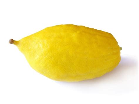 30 Different Types of Lemons to Try - Insanely Good