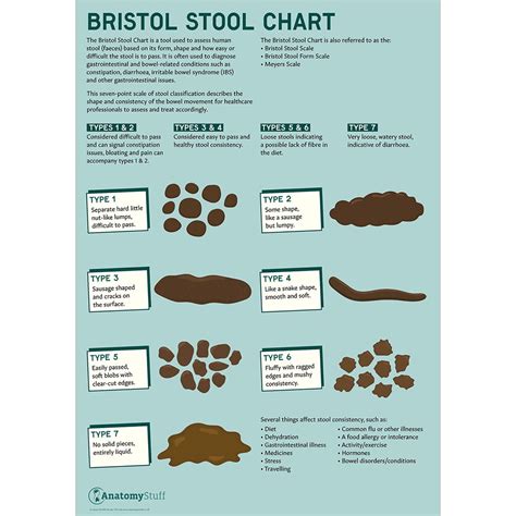 Bristol Stool Chart: The Different Types Of Poop GoodRx, 54% OFF