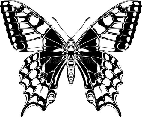 Swallowtail. The vector stylized drawing of the butterfly with the ...